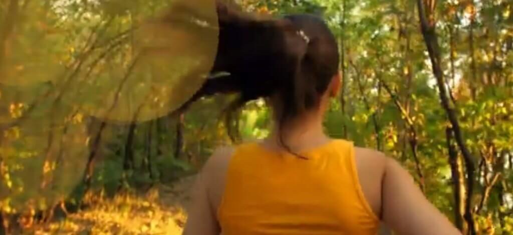 סוכנות ביטוח